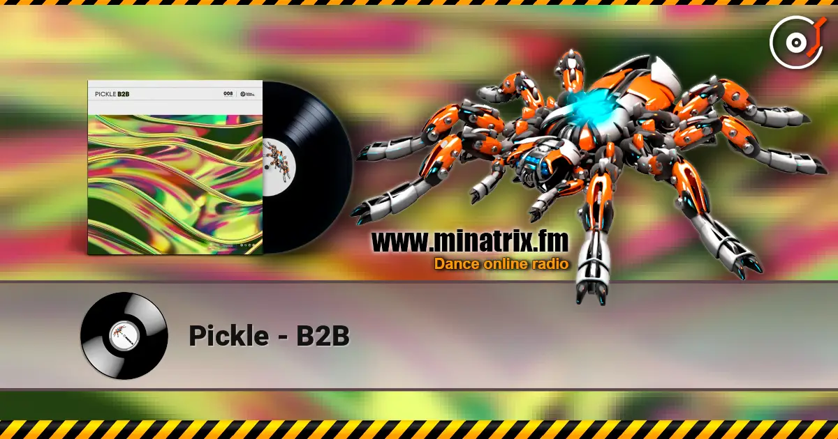 Pickle - B2B 高品质在线收听 | Minatrix.FM