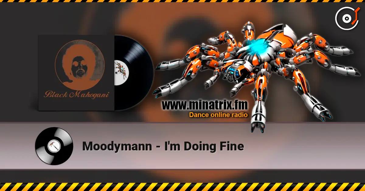 Moodymann - I'm Doing Fine 高品质在线收听 | Minatrix.FM