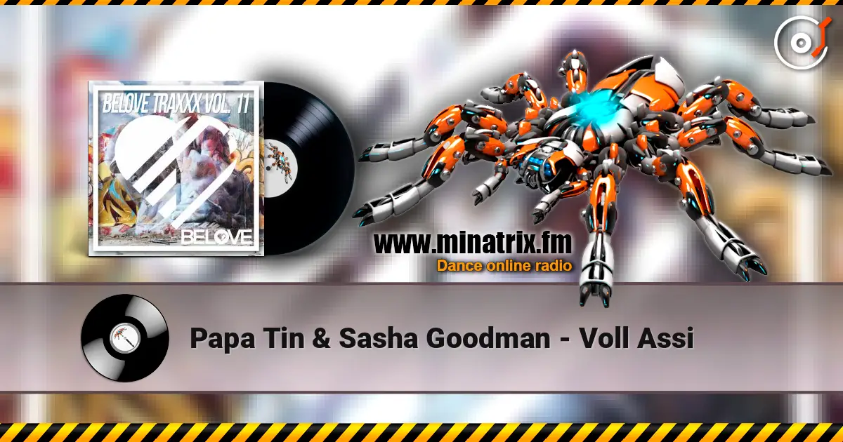Papa Tin & Sasha Goodman - Voll Assi 高品质在线收听 | Minatrix.FM