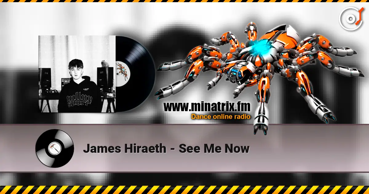James Hiraeth - See Me Now 高品质在线收听 | Minatrix.FM