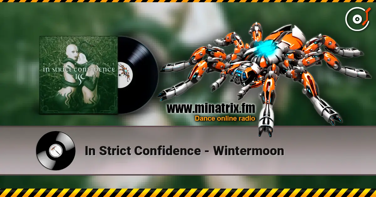 In Strict Confidence - Wintermoon 高品质在线收听 | Minatrix.FM