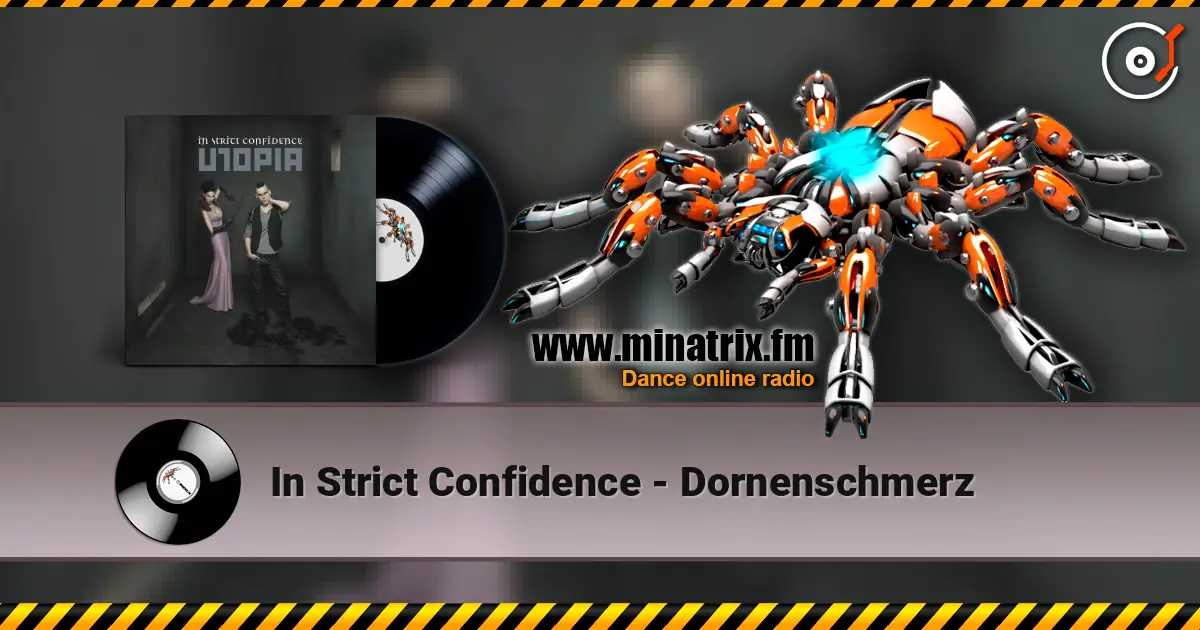 In Strict Confidence - Dornenschmerz 高品质在线收听 | Minatrix.FM