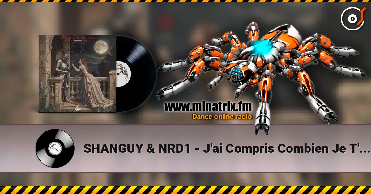 SHANGUY & NRD1 - J'ai Compris Combien Je T'aime 高品质在线收听 | Minatrix.FM