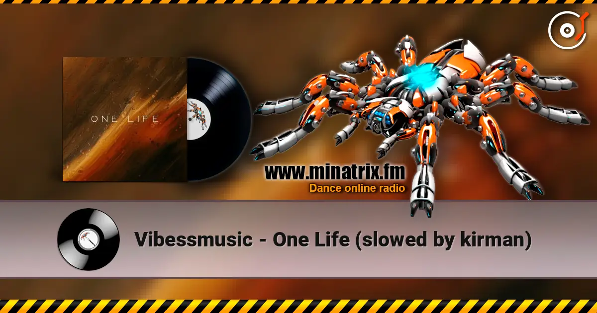 Vibessmusic - One Life (slowed by kirman) 高品质在线收听 | Minatrix.FM