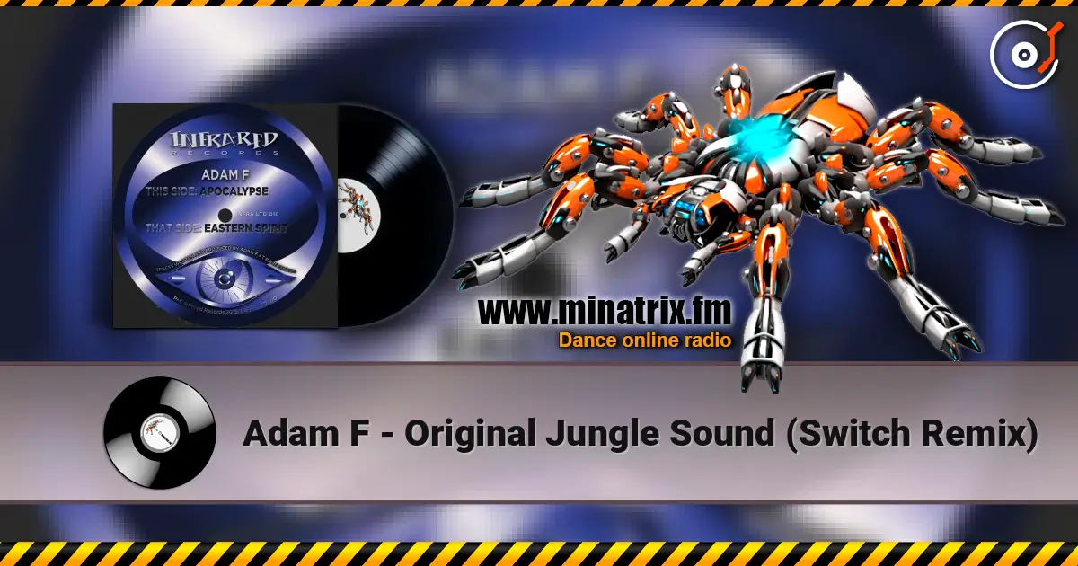 Adam F - Original Jungle Sound (Switch Remix) 高品质在线收听 | Minatrix.FM