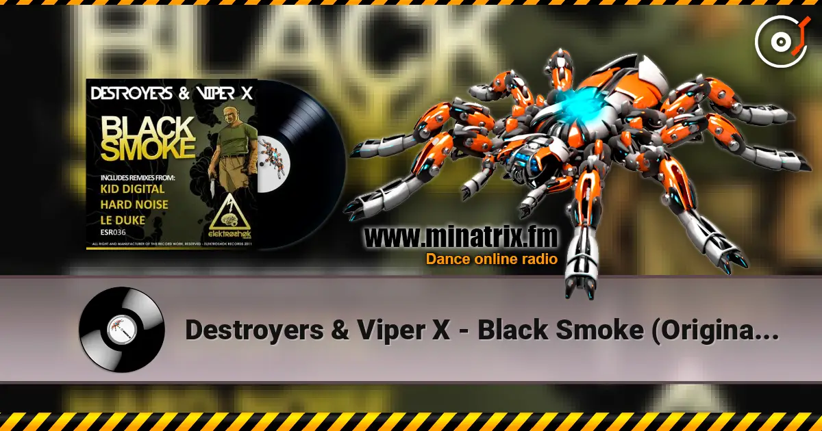 Destroyers & Viper X - Black Smoke (Original Mix) 高品质在线收听 | Minatrix.FM