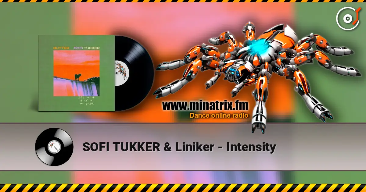 SOFI TUKKER & Liniker - Intensity 高品质在线收听 | Minatrix.FM