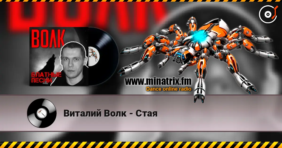 Виталий Волк - Стая 高品质在线收听 | Minatrix.FM