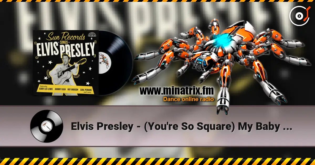 Elvis Presley - (You're So Square) My Baby Don't Care 高品质在线收听 | Minatrix.FM