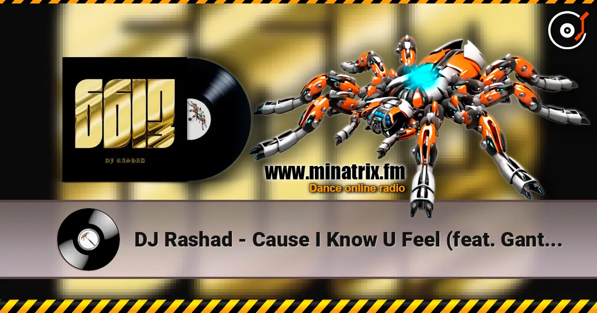 DJ Rashad - Cause I Know U Feel (feat. Gant-Man) 高品质在线收听 | Minatrix.FM