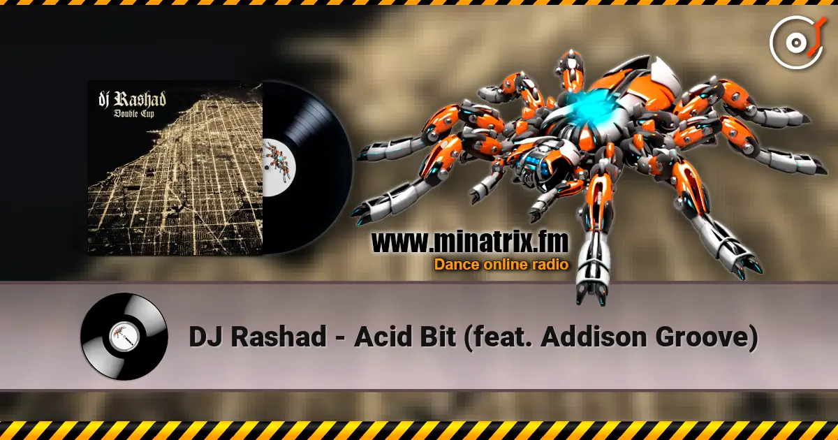 DJ Rashad - Acid Bit (feat. Addison Groove) 高品质在线收听 | Minatrix.FM