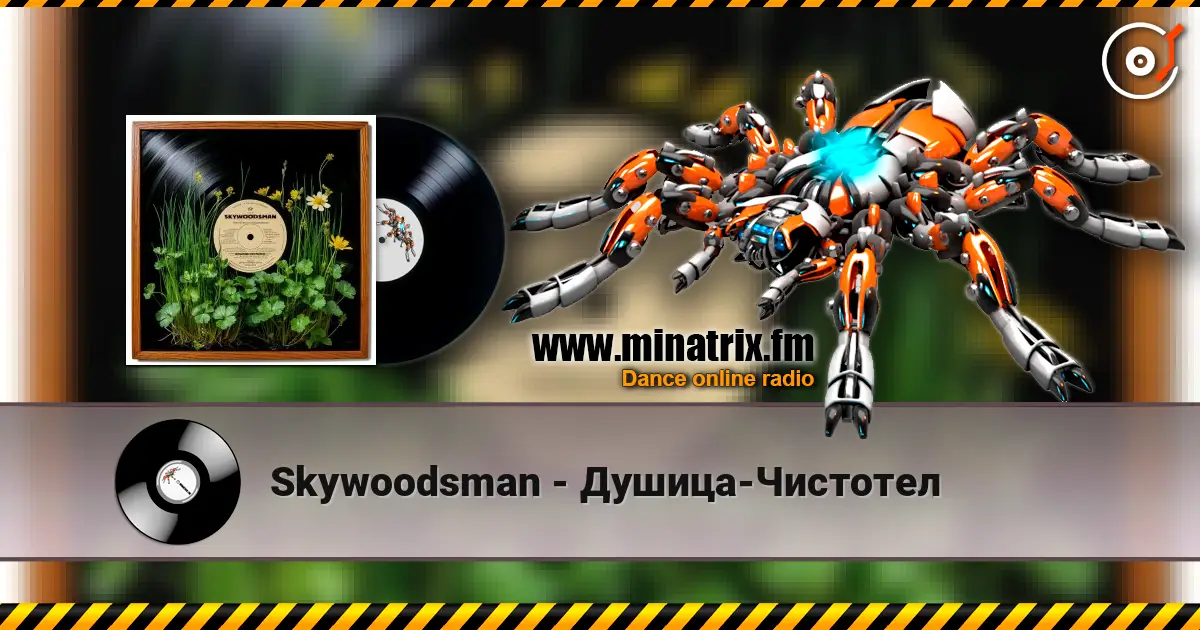 Skywoodsman - Душица-Чистотел 高品质在线收听 | Minatrix.FM