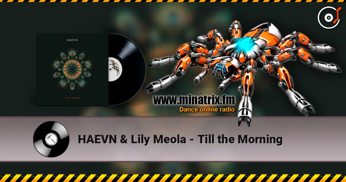 HAEVN & Lily Meola - Till the Morning 高品质在线收听 | Minatrix.FM