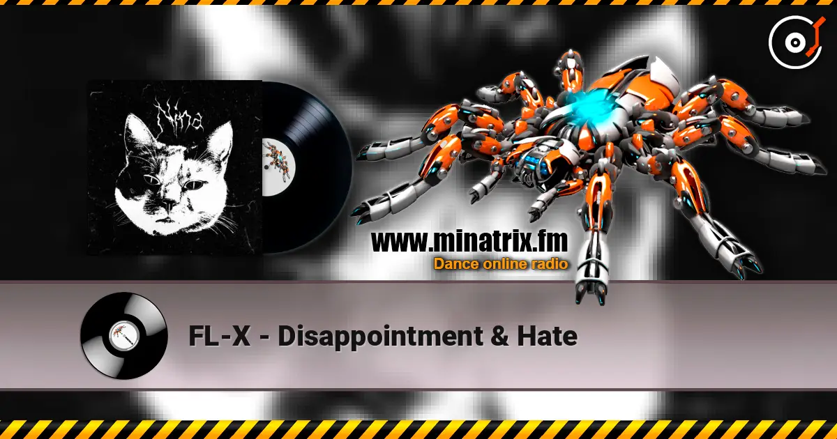 FL-X - Disappointment & Hate 高品质在线收听 | Minatrix.FM
