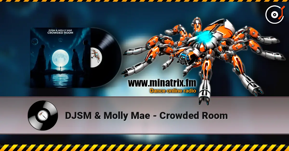 DJSM & Molly Mae - Crowded Room 高品质在线收听 | Minatrix.FM