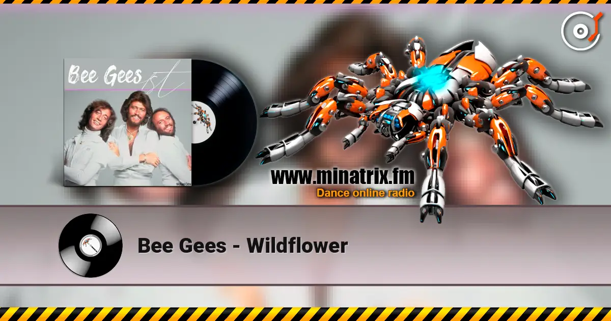 Bee Gees - Wildflower 高品质在线收听 | Minatrix.FM