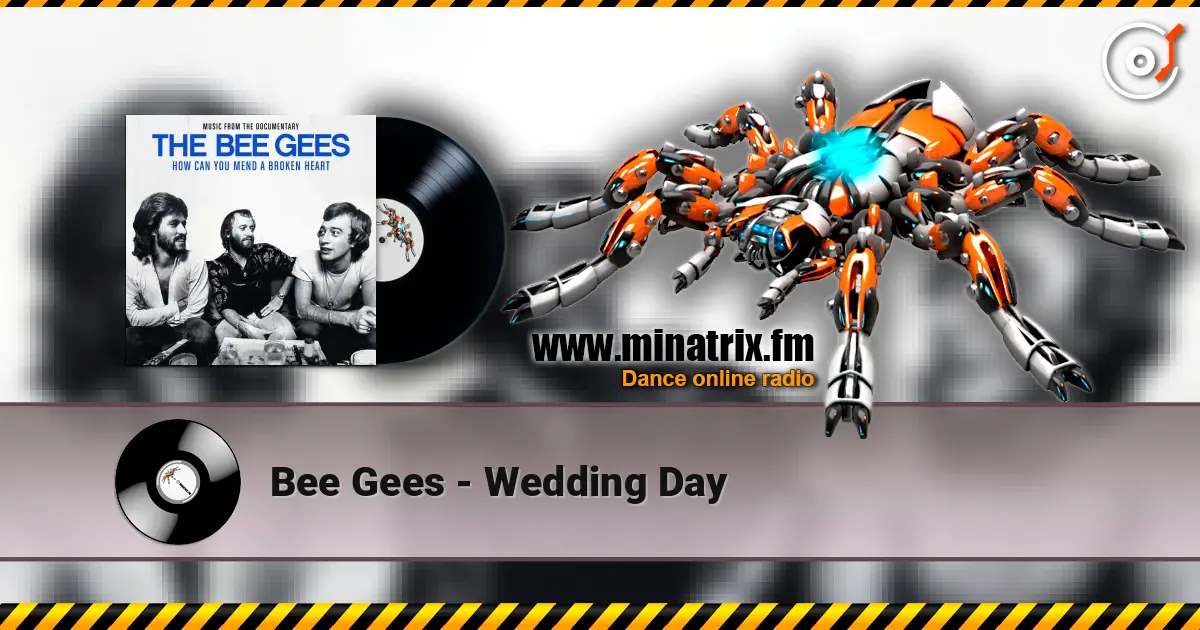 Bee Gees - Wedding Day 高品质在线收听 | Minatrix.FM