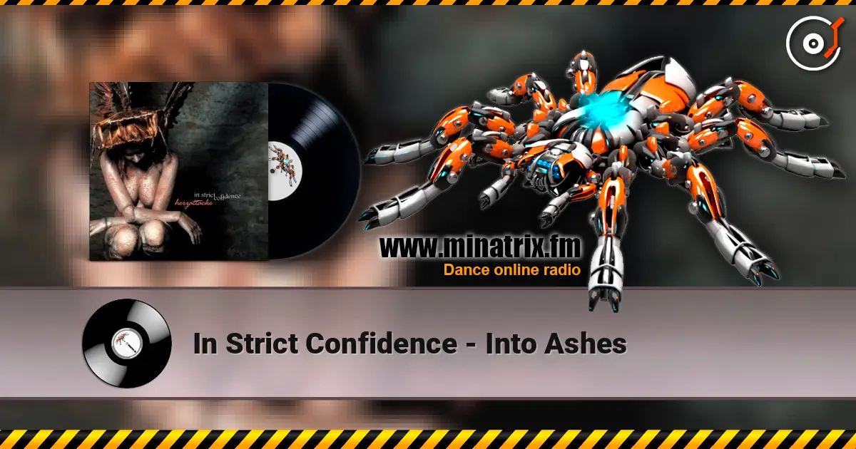 In Strict Confidence - Into Ashes 高品质在线收听 | Minatrix.FM