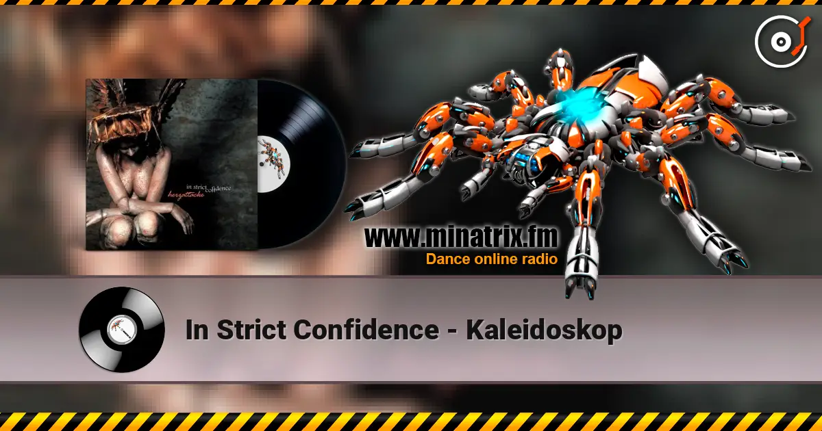 In Strict Confidence - Kaleidoskop 高品质在线收听 | Minatrix.FM
