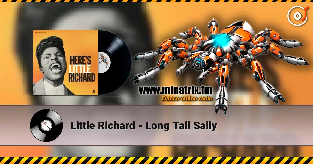 Little Richard - Long Tall Sally 高品质在线收听 | Minatrix.FM