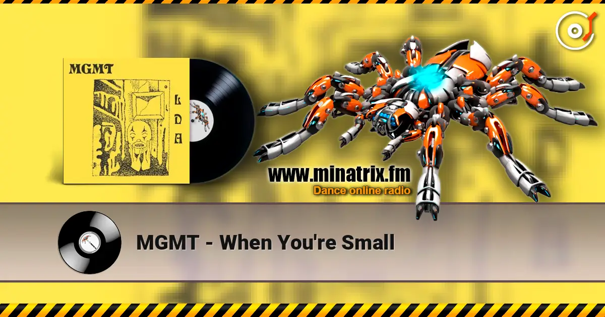 MGMT - When You're Small 高品质在线收听 | Minatrix.FM
