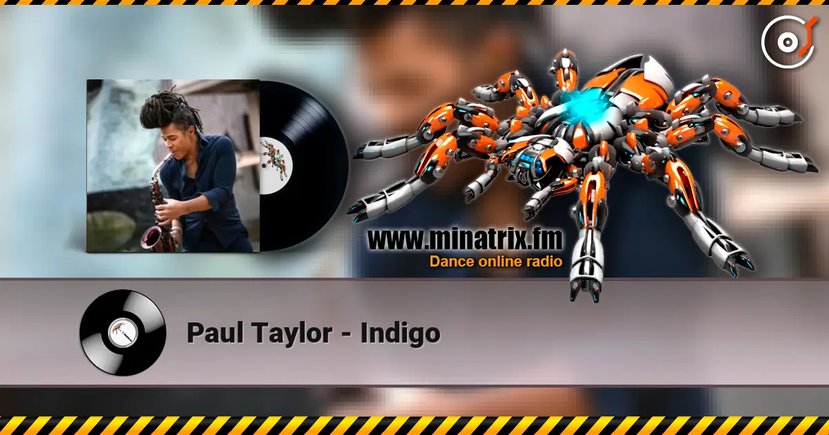 Paul Taylor - Indigo 高品质在线收听 | Minatrix.FM