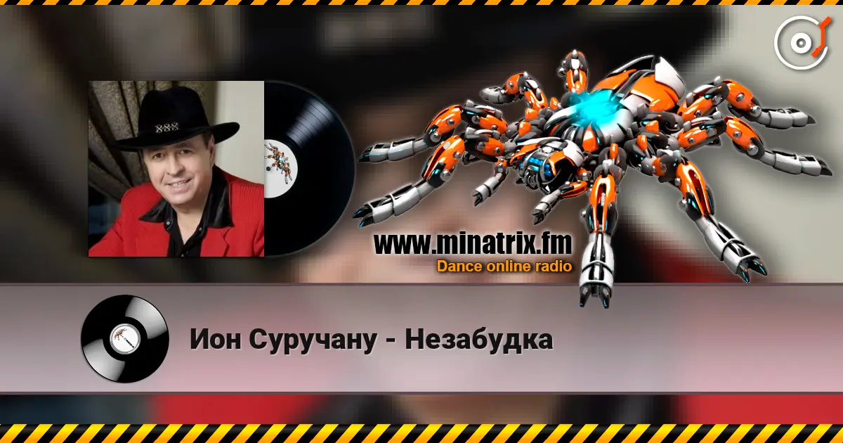 Ион Суручану - Незабудка 高品质在线收听 | Minatrix.FM