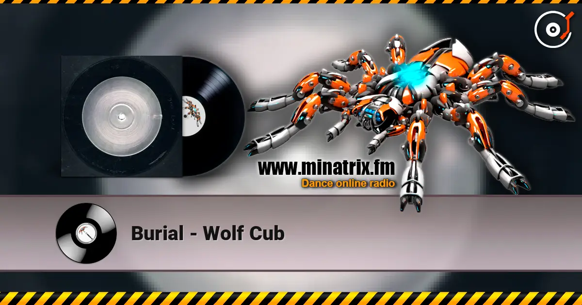 Burial - Wolf Cub 高品质在线收听 | Minatrix.FM
