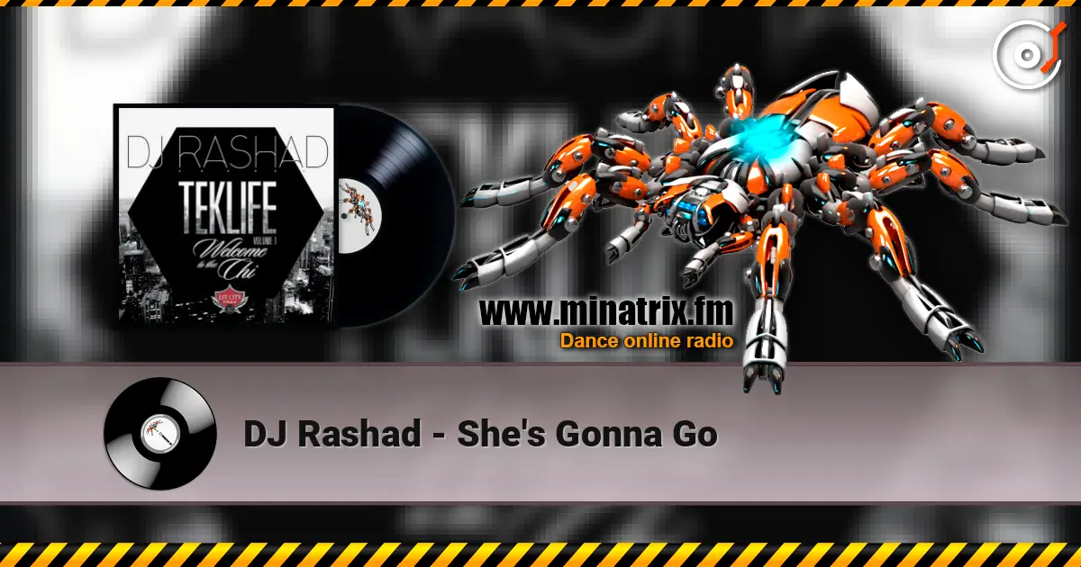 DJ Rashad - She's Gonna Go 高品质在线收听 | Minatrix.FM