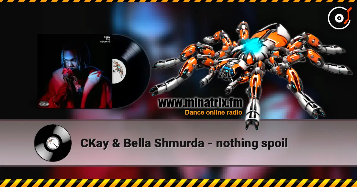 CKay & Bella Shmurda - nothing spoil 高品质在线收听 | Minatrix.FM