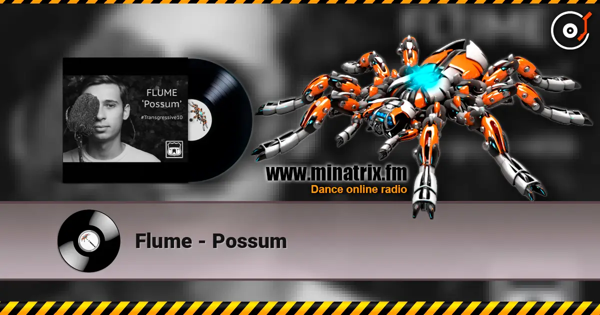 Flume - Possum 高品质在线收听 | Minatrix.FM