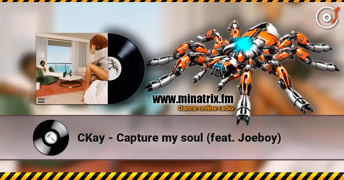 CKay - Capture my soul (feat. Joeboy) 高品质在线收听 | Minatrix.FM