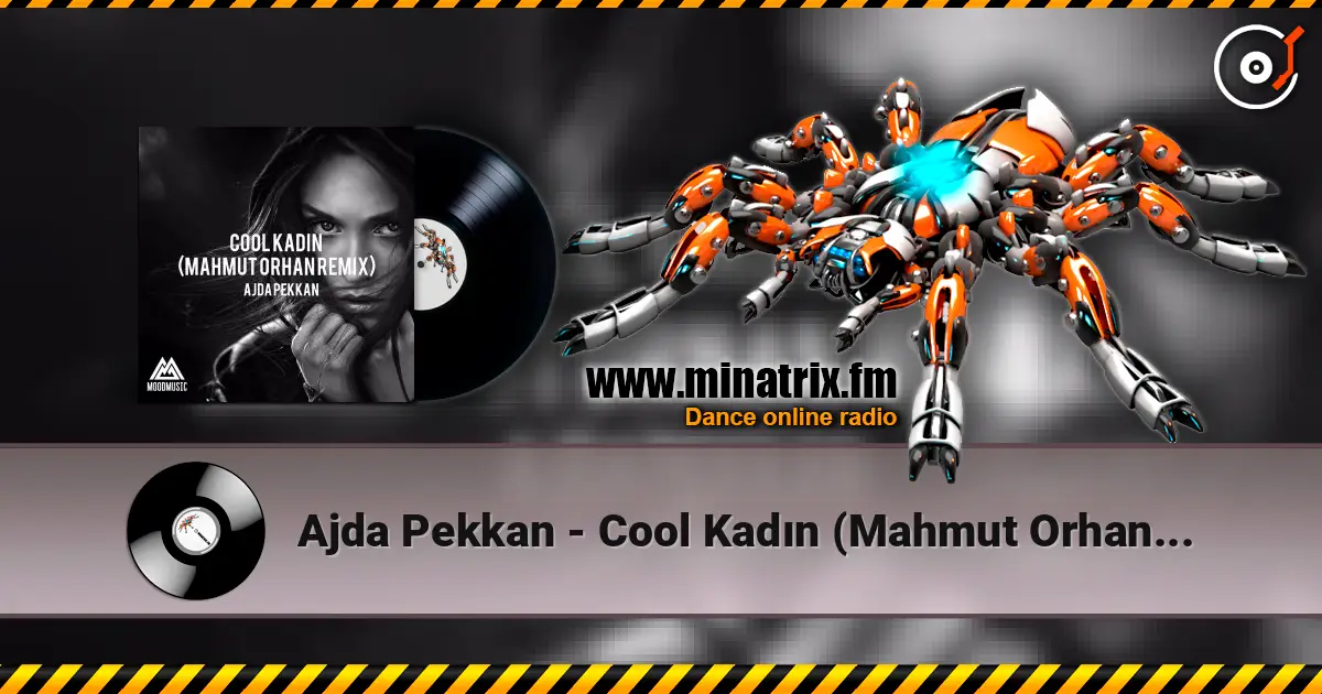 Ajda Pekkan - Cool Kadın (Mahmut Orhan Remix) 高品质在线收听 | Minatrix.FM