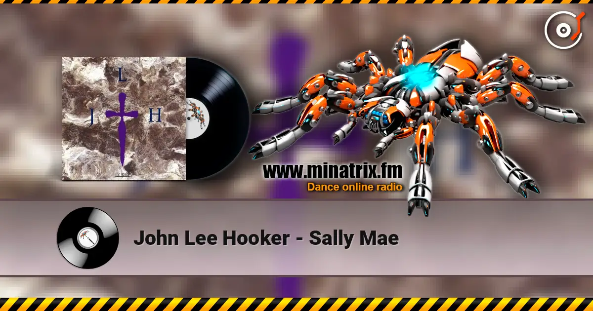 John Lee Hooker - Sally Mae 高品质在线收听 | Minatrix.FM