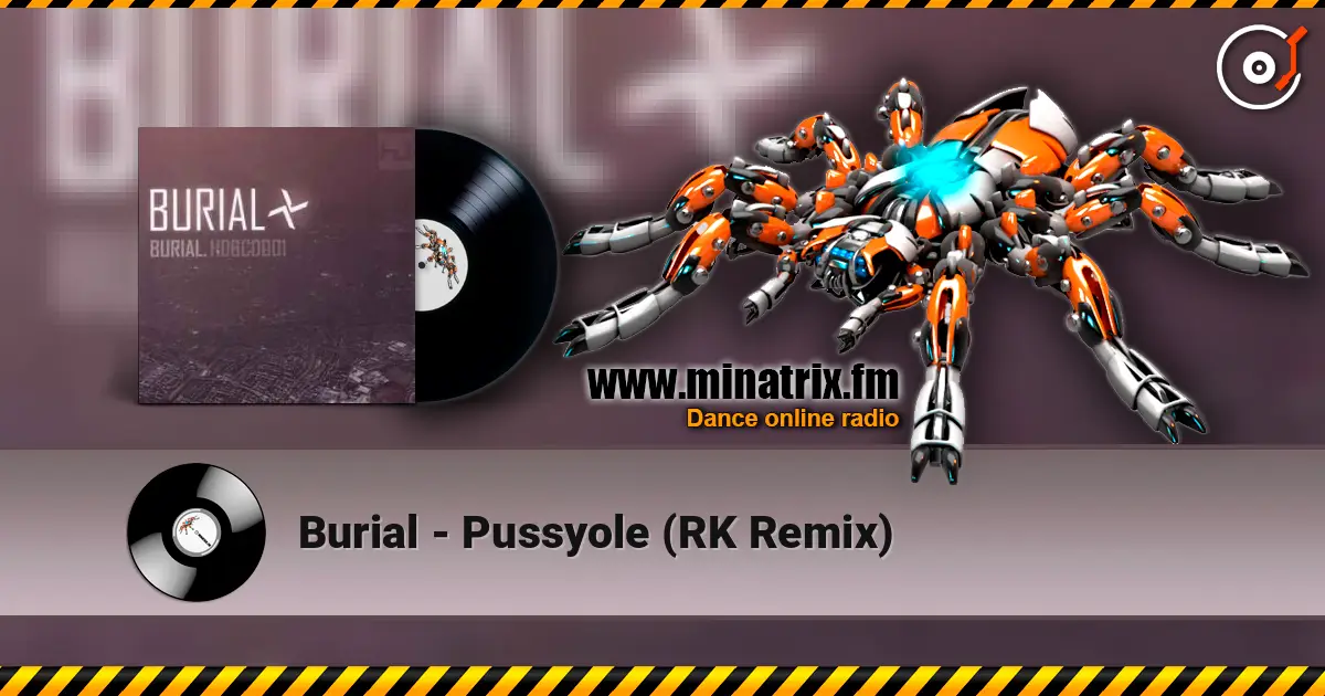 Burial - Pussyole (RK Remix) 高品质在线收听 | Minatrix.FM
