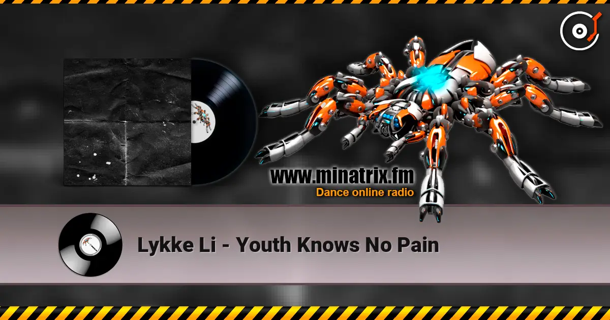 Lykke Li - Youth Knows No Pain 高品质在线收听 | Minatrix.FM