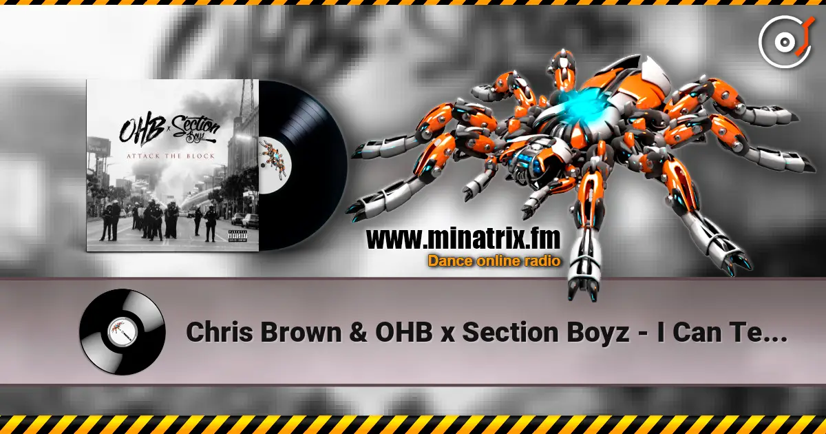 Chris Brown & OHB x Section Boyz - I Can Tell (feat. Chris Brown, Hoody Baby & Young Lo) 高品质在线收听 | Minatrix.FM