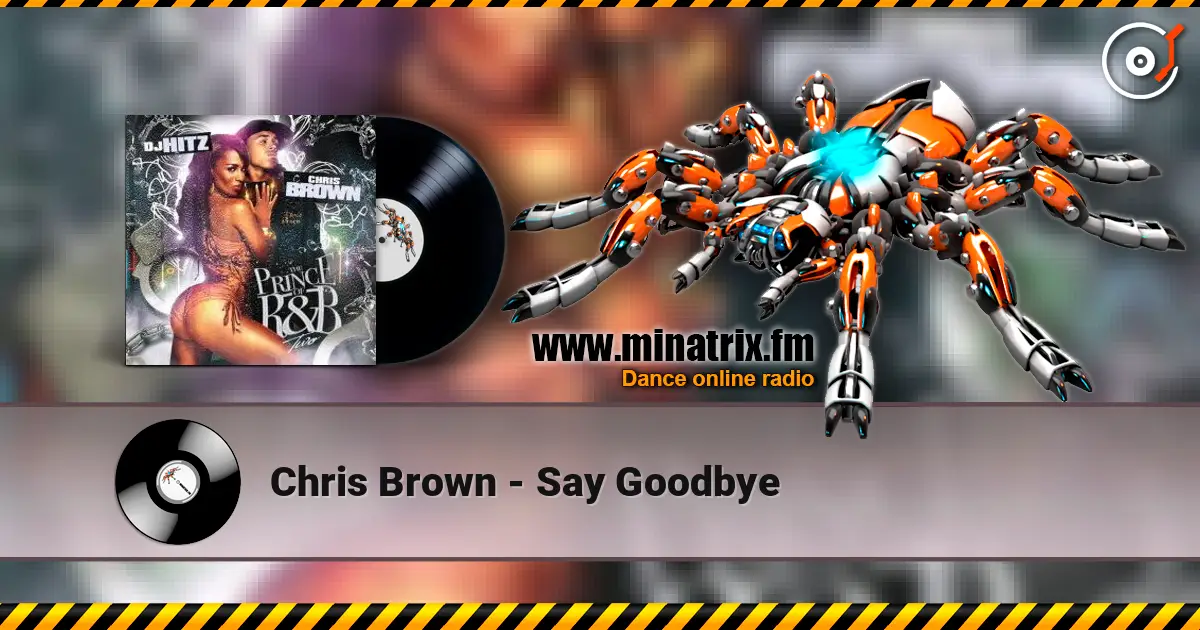 Chris Brown - Say Goodbye 高品质在线收听 | Minatrix.FM