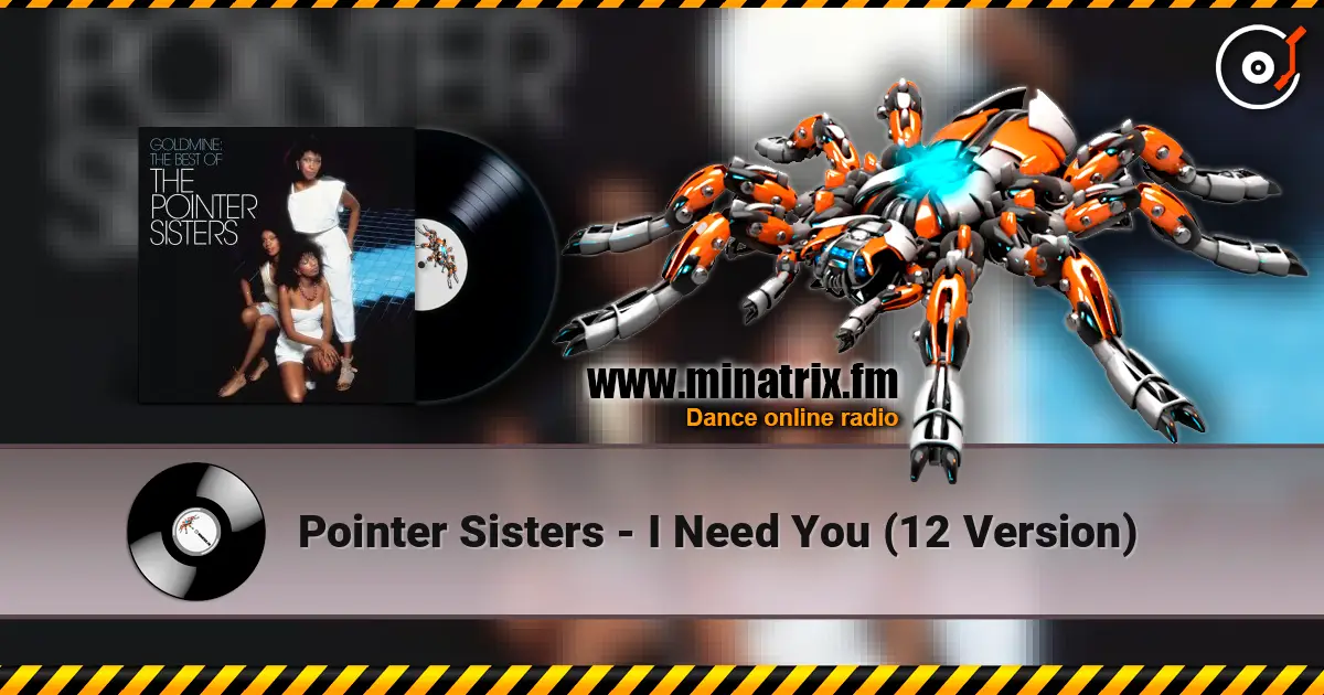Pointer Sisters - I Need You  (12 Version) 高品质在线收听 | Minatrix.FM