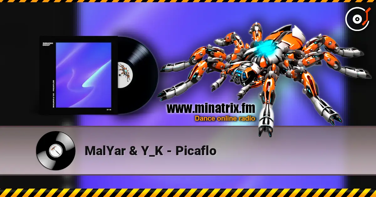 MalYar & Y_K - Picaflo 高品质在线收听 | Minatrix.FM