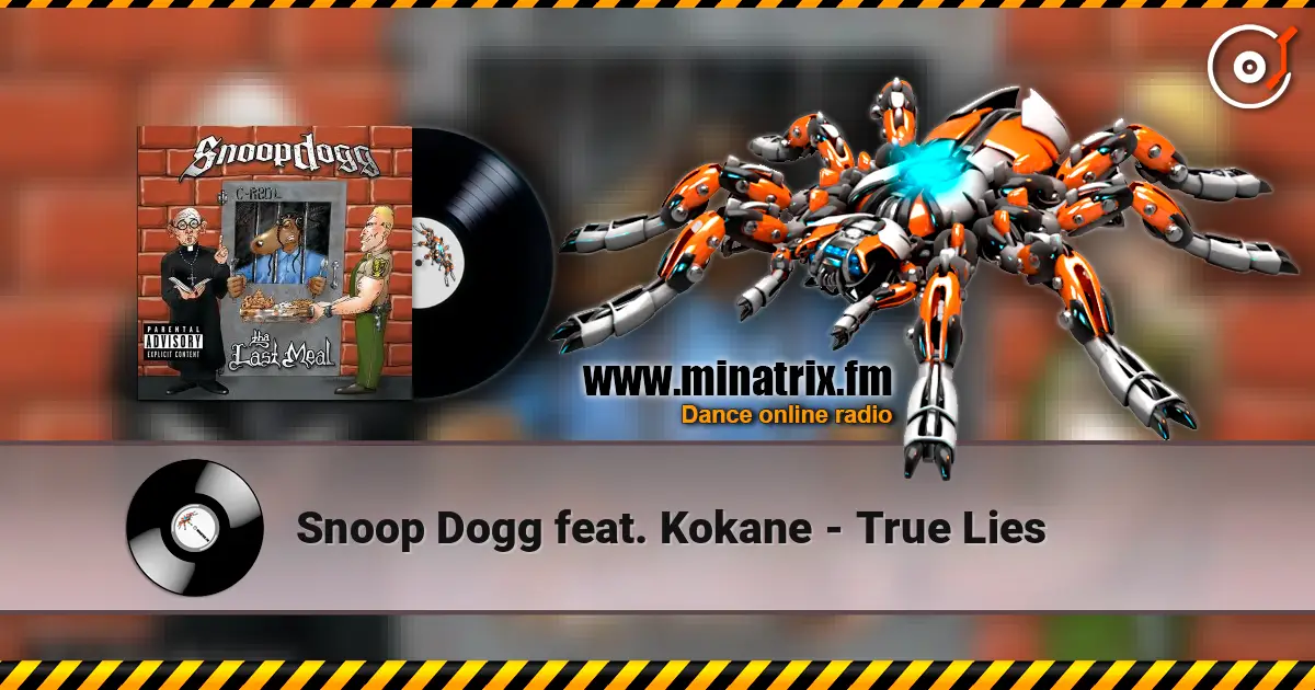 Snoop Dogg feat. Kokane - True Lies 高品质在线收听 | Minatrix.FM