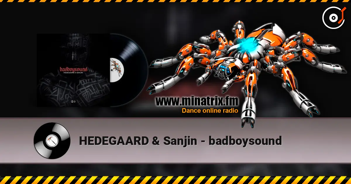 HEDEGAARD & Sanjin - badboysound 高品质在线收听 | Minatrix.FM