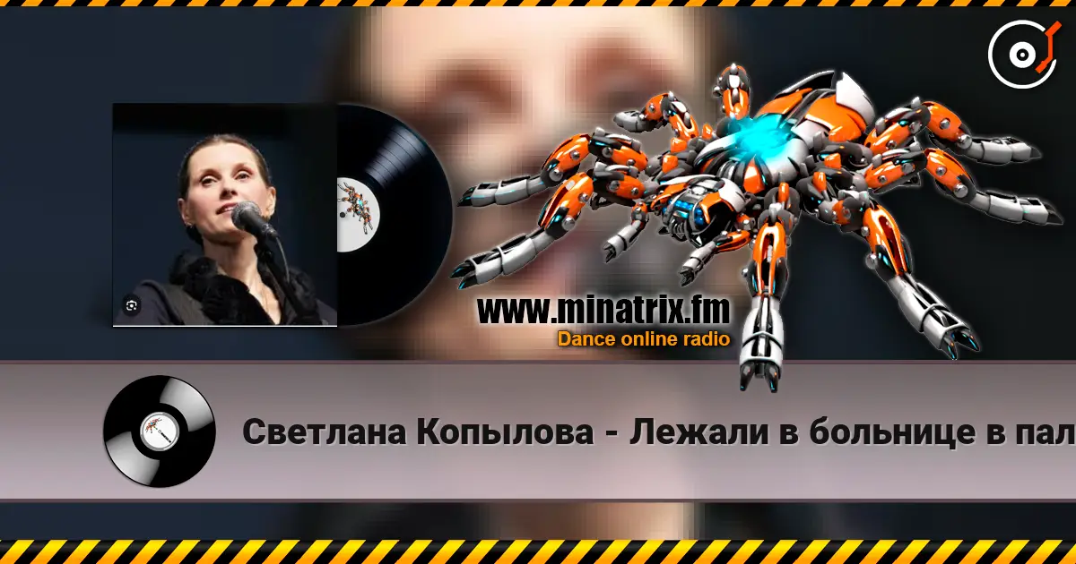 Светлана Копылова - Лежали в больнице в палате одной 高品质在线收听 | Minatrix.FM