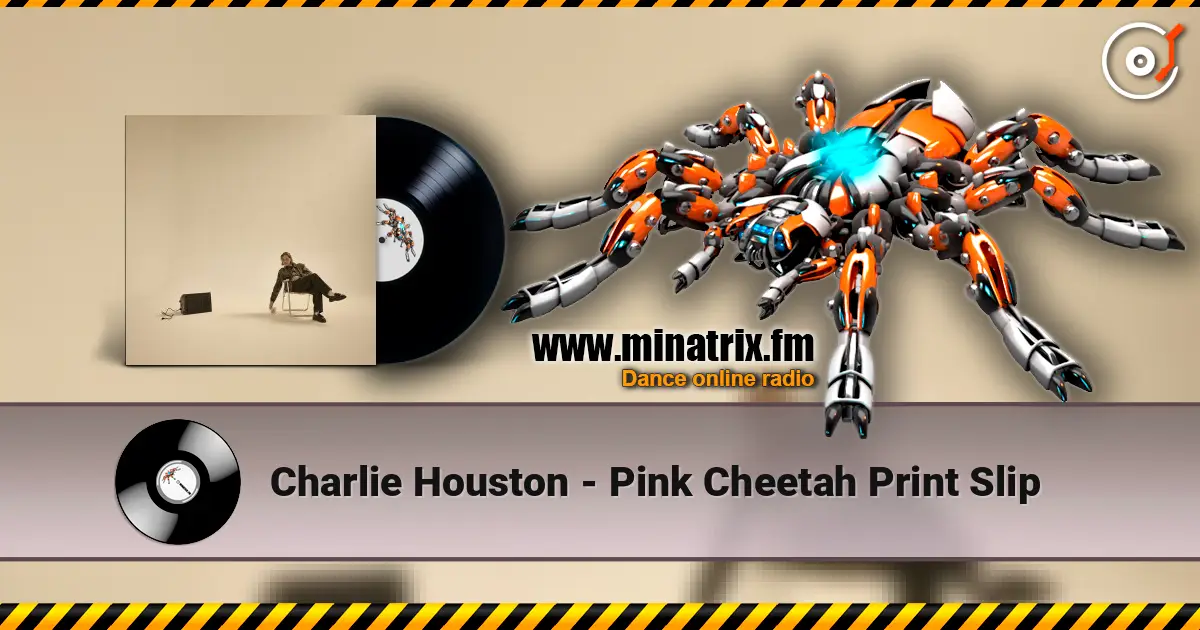 Charlie Houston - Pink Cheetah Print Slip 高品质在线收听 | Minatrix.FM