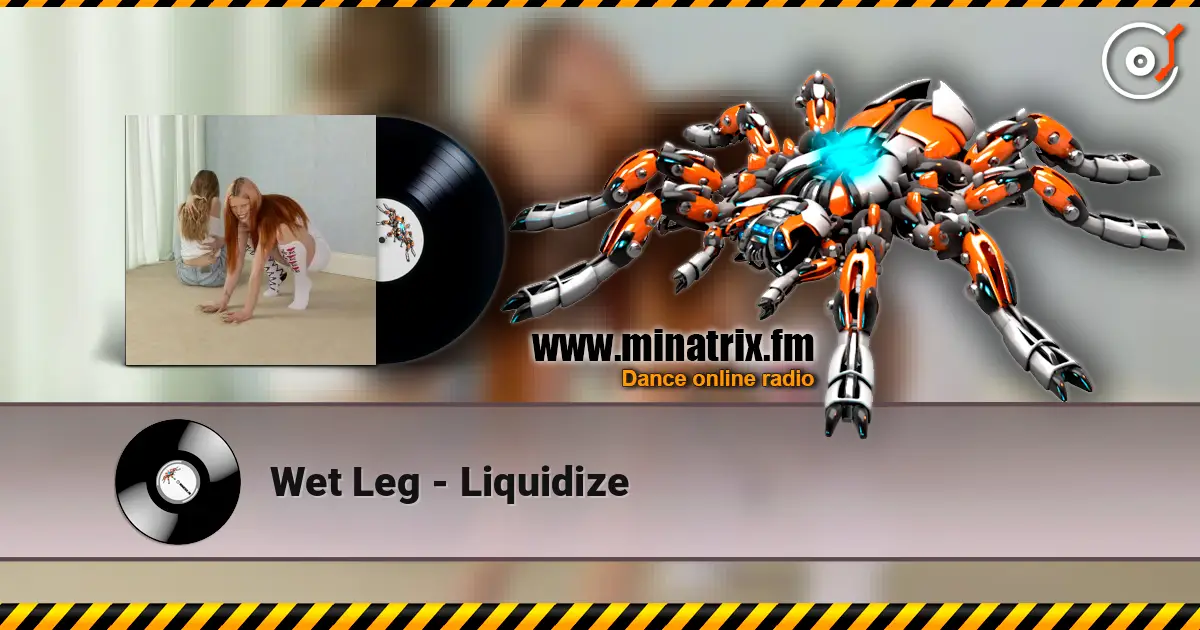 Wet Leg - Liquidize 高品质在线收听 | Minatrix.FM