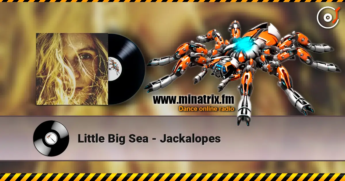 Little Big Sea - Jackalopes 高品质在线收听 | Minatrix.FM