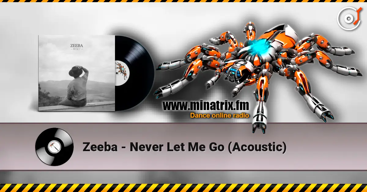 Zeeba - Never Let Me Go (Acoustic) 高品质在线收听 | Minatrix.FM