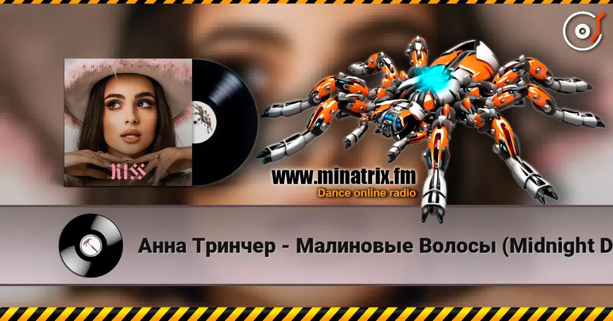 Анна Тринчер - Малиновые Волосы (Midnight Daddies Summer Edit) 高品质在线收听 | Minatrix.FM