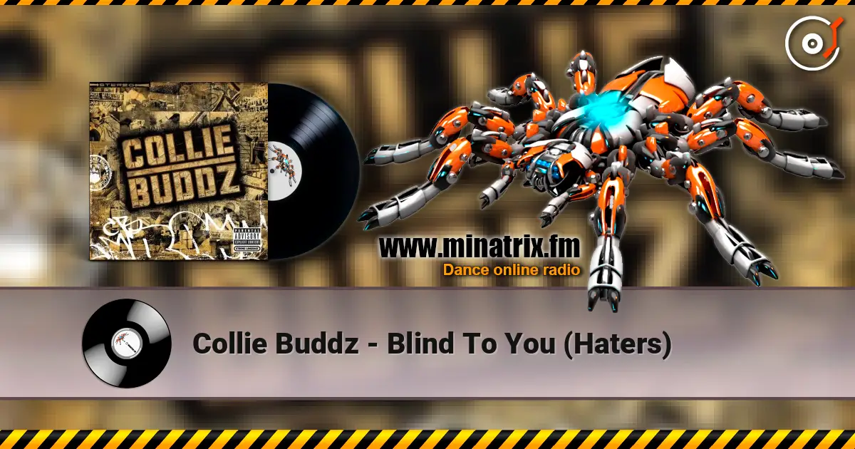 Collie Buddz - Blind To You (Haters) 高品质在线收听 | Minatrix.FM
