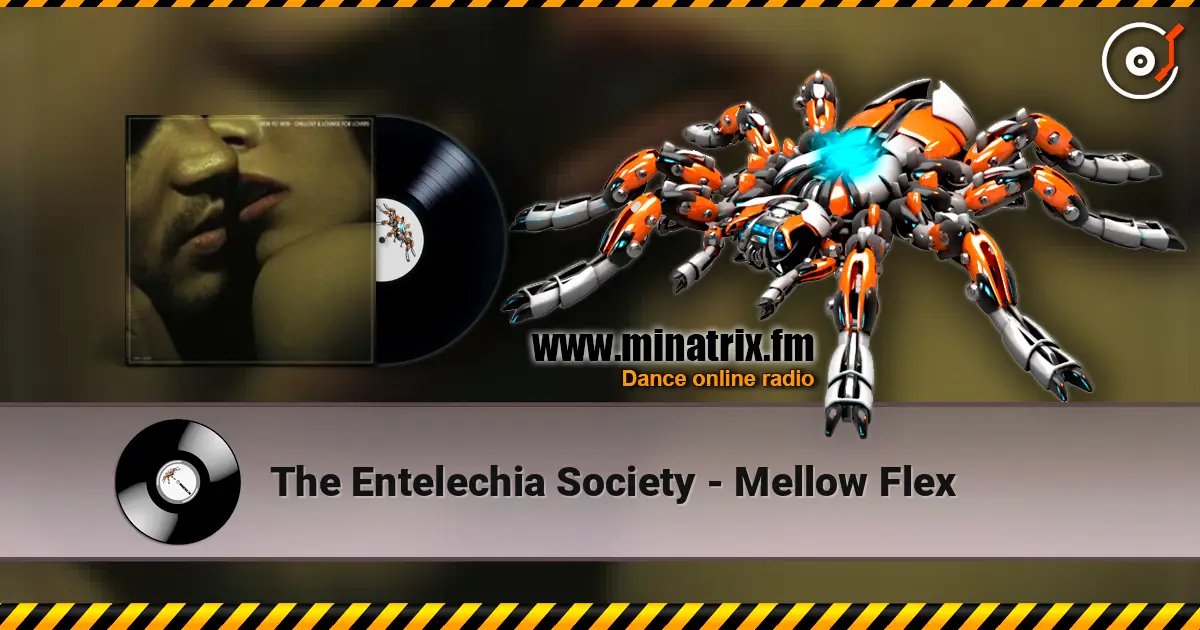 The Entelechia Society - Mellow Flex 高品质在线收听 | Minatrix.FM